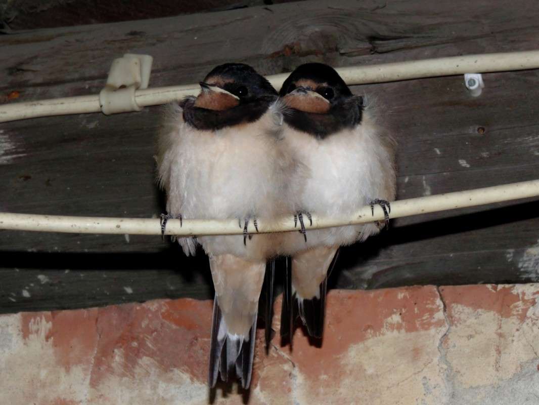 ������ � �����. ����� �����  �� PhotoGeek.ru #�������� ��� #����� ��� ��� ���������