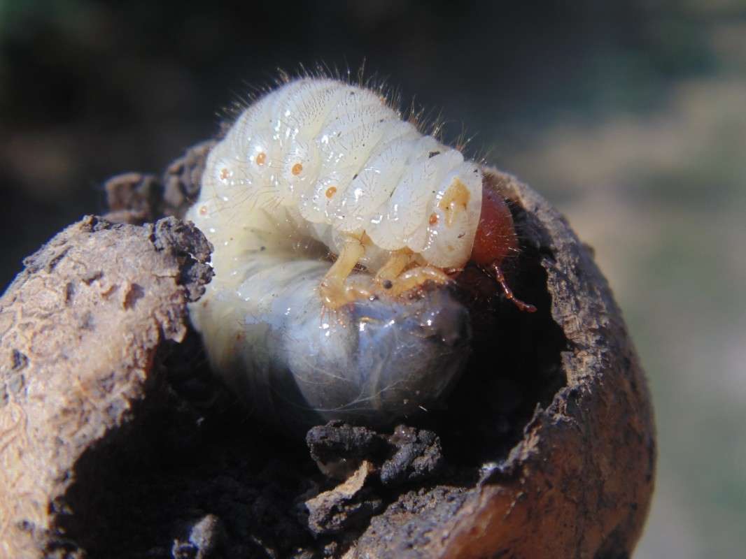 ���������� ���������! ����� �����  �� PhotoGeek.ru #����� #���������