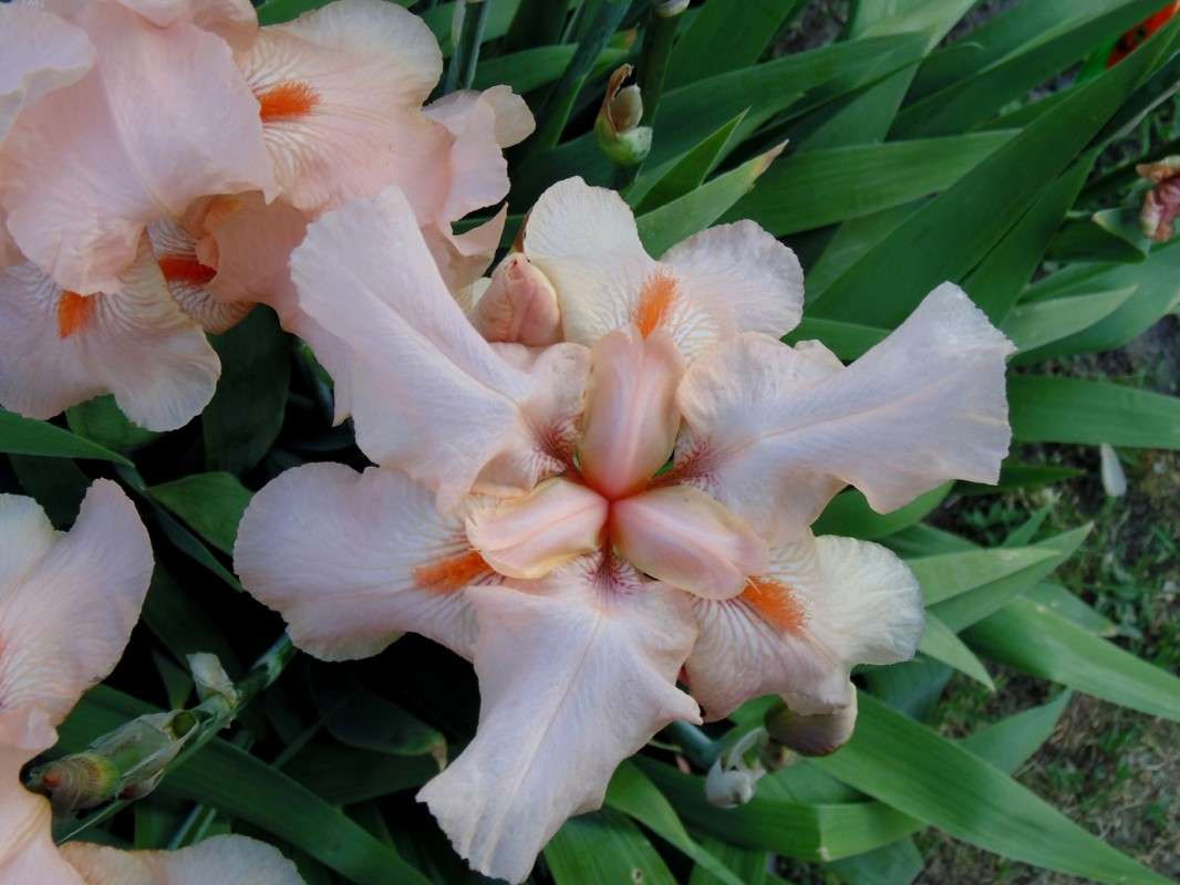 ... ����� �����  �� PhotoGeek.ru #����� #����� ��������������