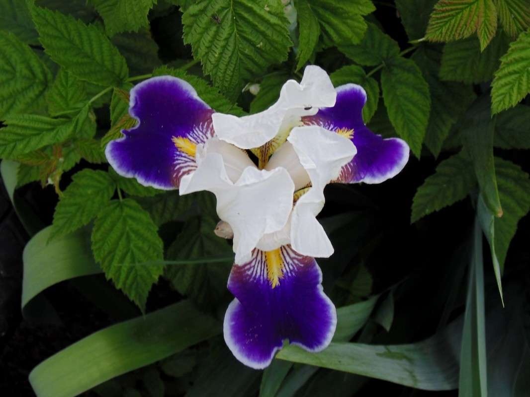 ... ����� �����  �� PhotoGeek.ru #����� #����� ��������������