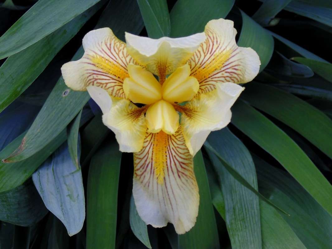 ... ����� �����  �� PhotoGeek.ru #����� #����� ��������������