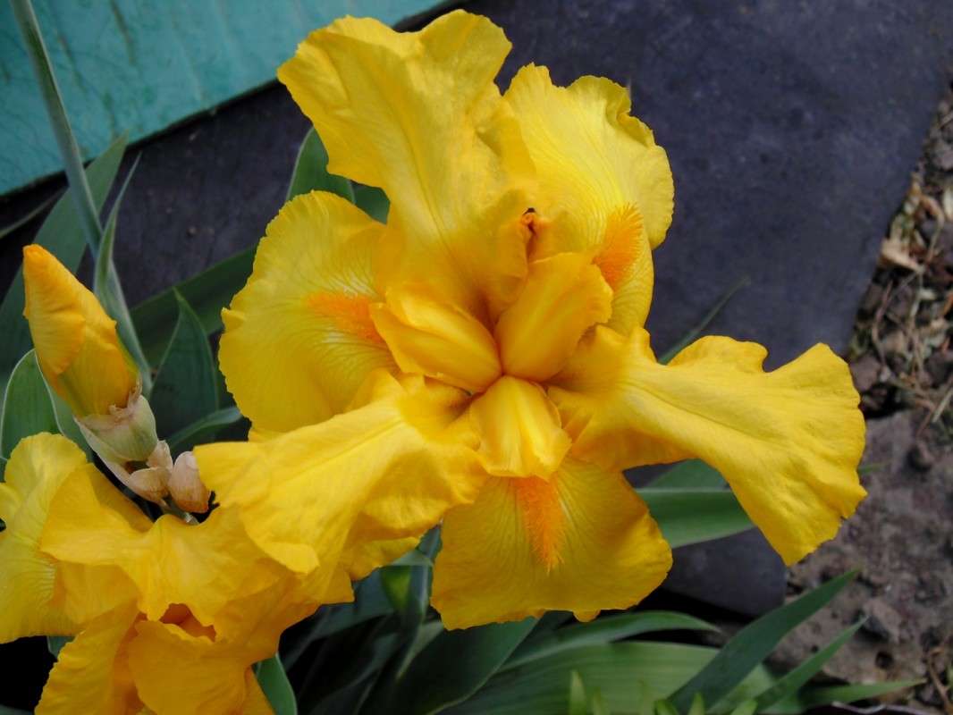 ... ����� �����  �� PhotoGeek.ru #����� #����� ��������������