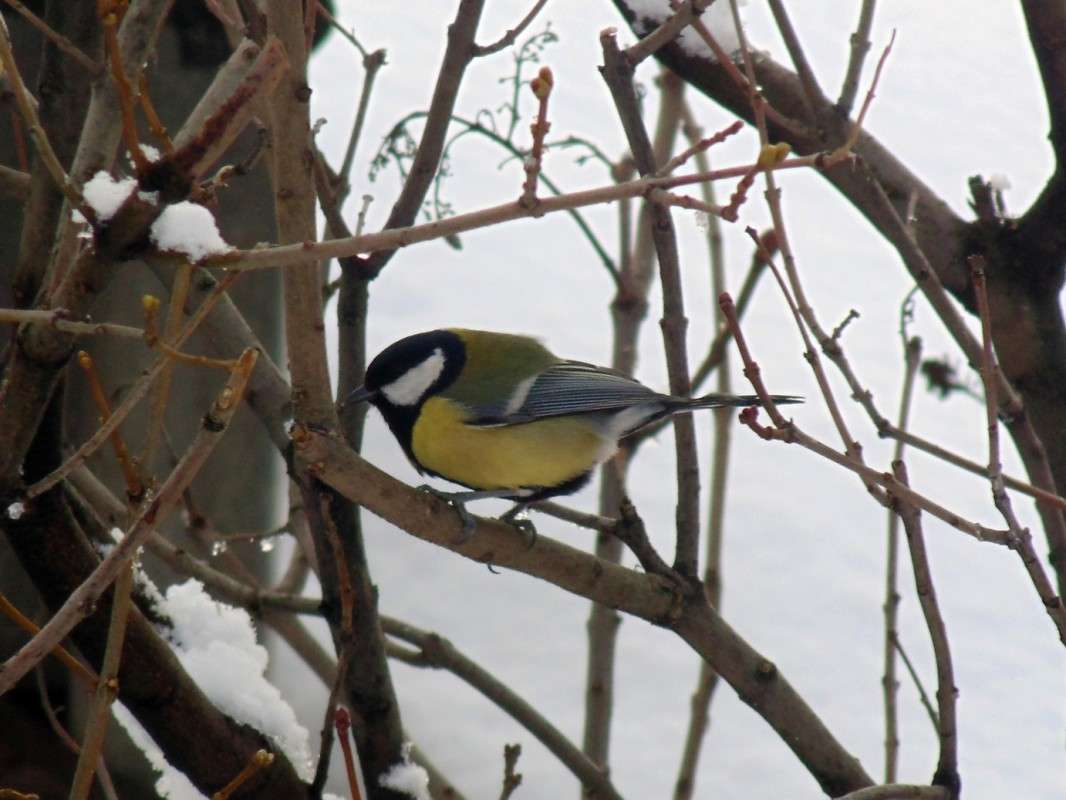 ������� ����� �����  �� PhotoGeek.ru #�������� ��� #����� ��� ��� ���������