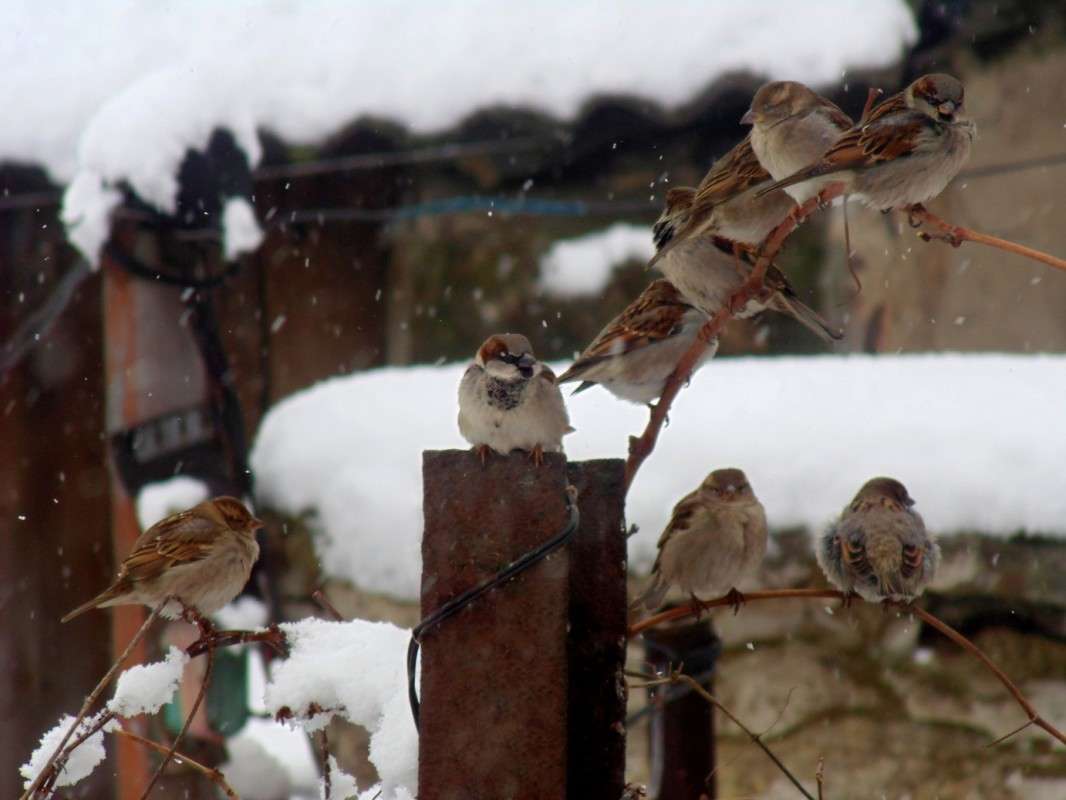 �����! ����� �����  �� PhotoGeek.ru #�������� ��� #����� ��� ��� ���������