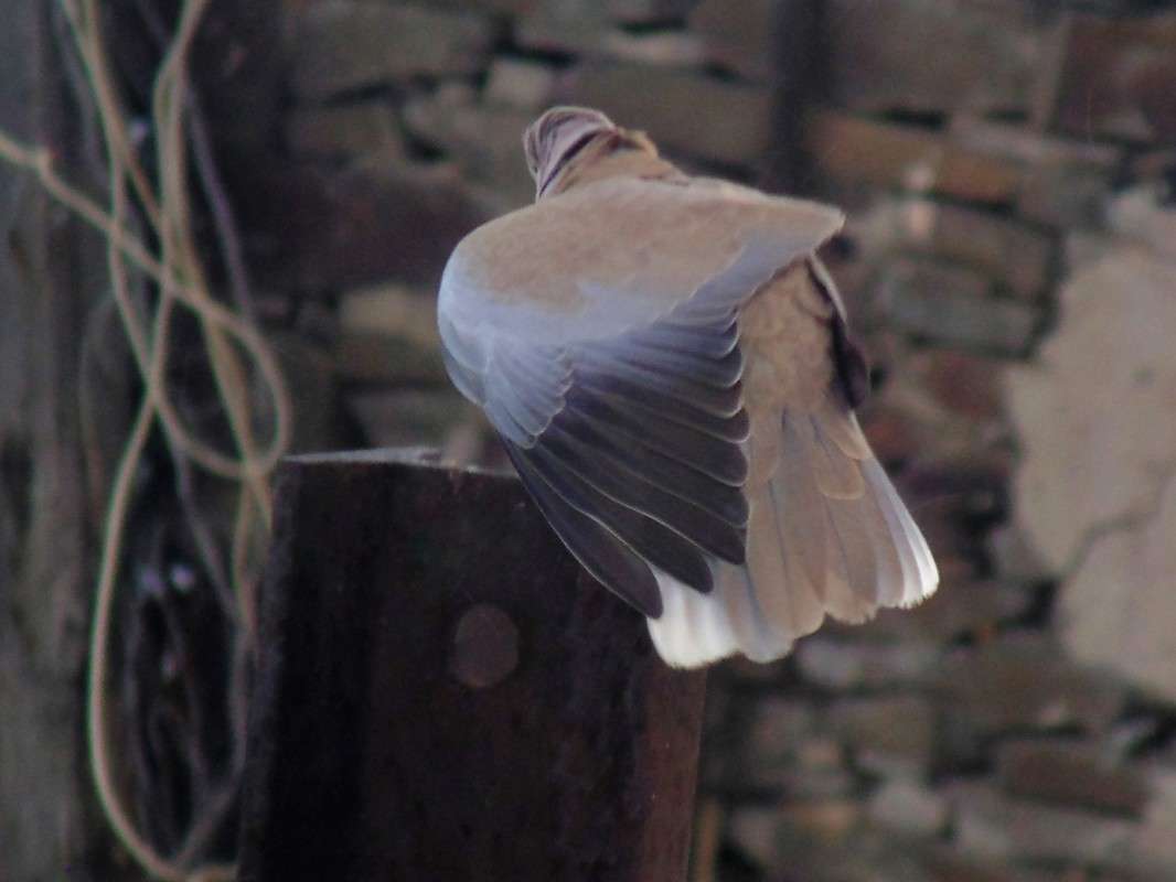 ��������� ������... ����� �����  �� PhotoGeek.ru #�������� ��� #����� ��� ��� ���������