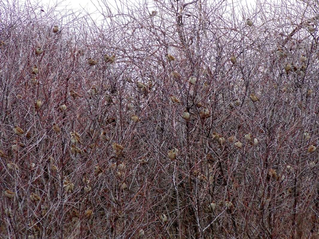 ���������������))) ����� �����  �� PhotoGeek.ru #�������� ��� #����� ��� ��� ���������