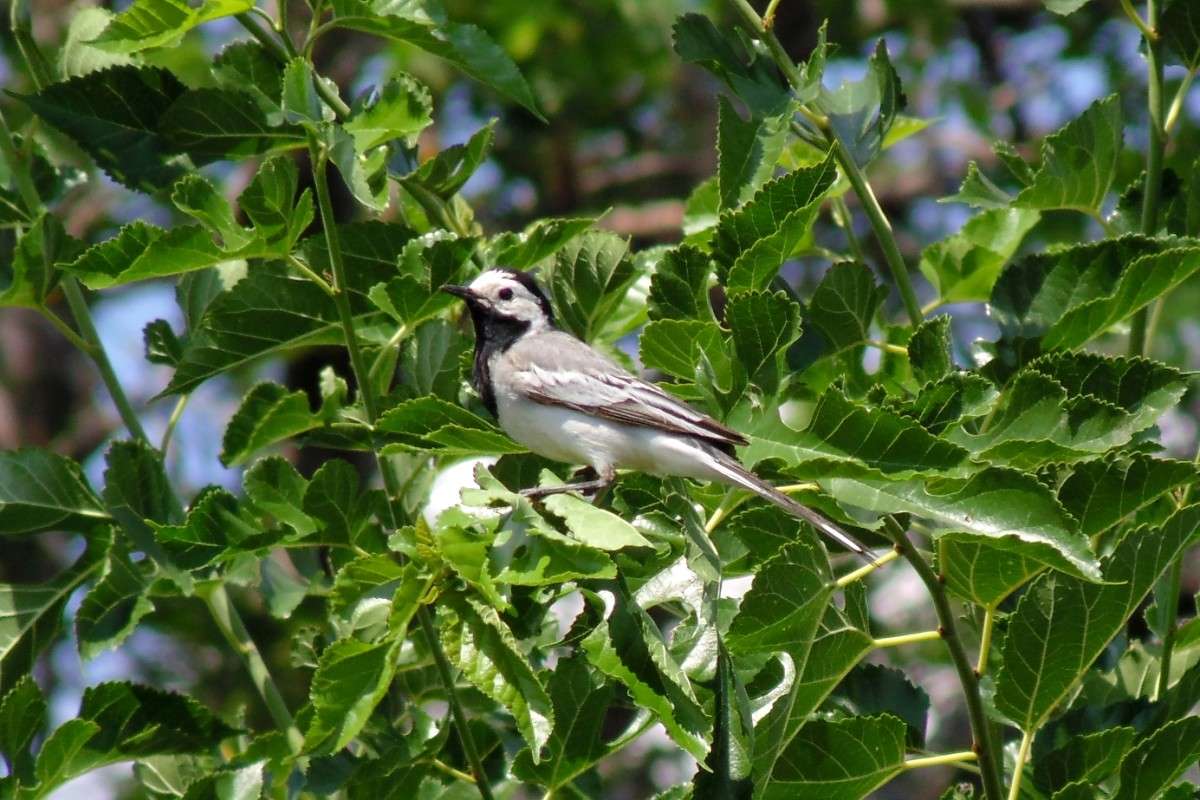 ���������� ����� ����� �����  �� PhotoGeek.ru #�������� ��� #����� ��� ��� ���������