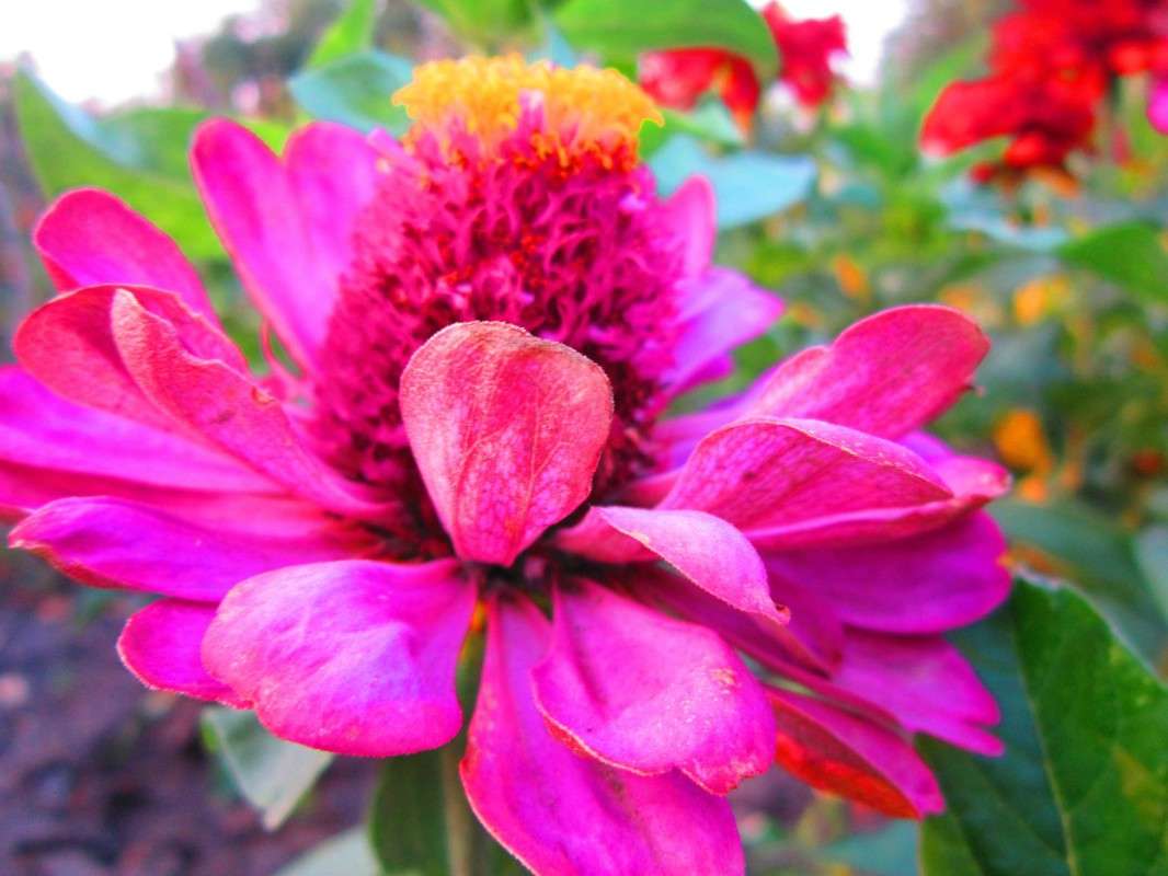 �������� ����� �������  �� PhotoGeek.ru #����� #������ ��� ������� #����� ��������������