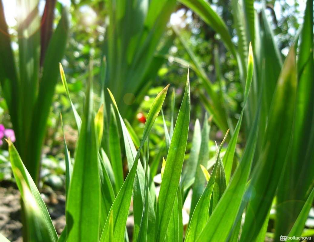 ����� ����� Alina  �� PhotoGeek.ru #������ ��� ������� #����� ��������������