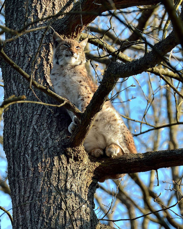 ... ����� BoNik  �� PhotoGeek.ru #�������� ���