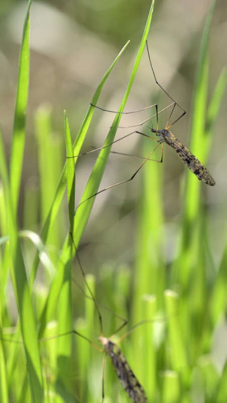 ... ����� BoNik  �� PhotoGeek.ru #�����