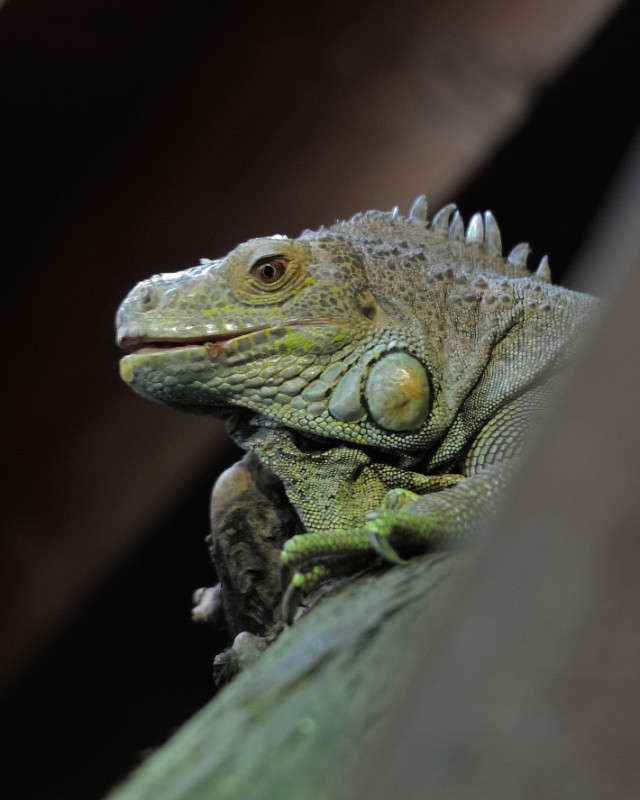 � � ������ - �����... ����� BoNik  �� PhotoGeek.ru #�������� ���