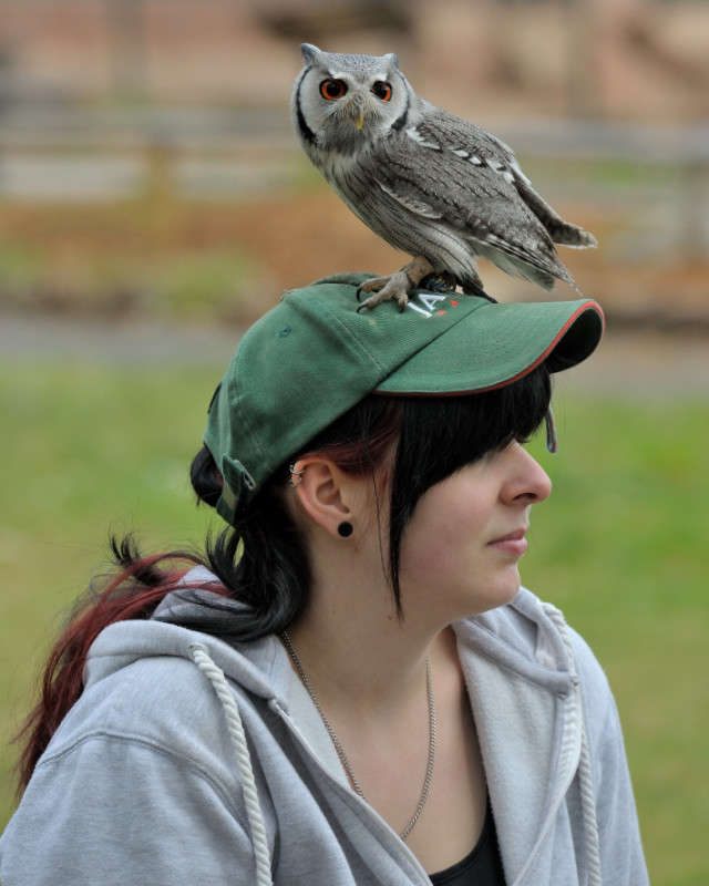 � ������ ����� � ���� ����� BoNik  �� PhotoGeek.ru #��������