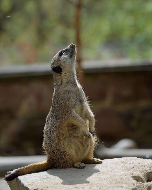 ������� ����� �����?! ����� BoNik  �� PhotoGeek.ru #�������� ���