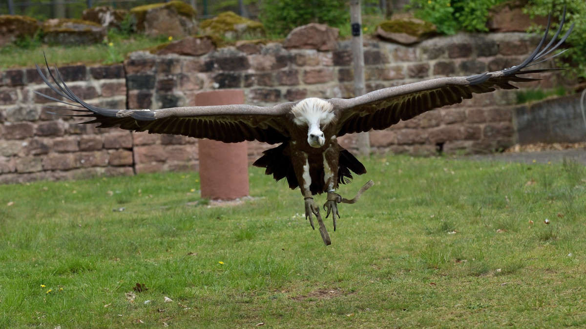 ����� ����������... ����� BoNik  �� PhotoGeek.ru #�������� ���