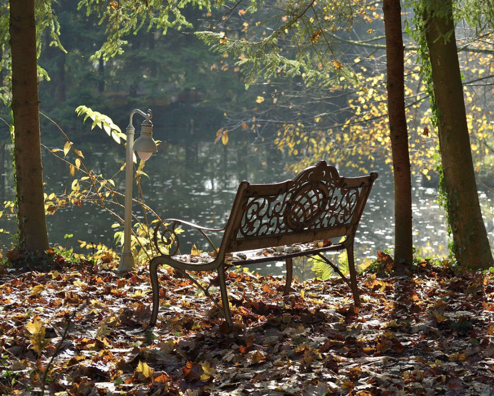 �������� �������� ������� ��������� ����� BoNik  �� PhotoGeek.ru #������ ��� �������