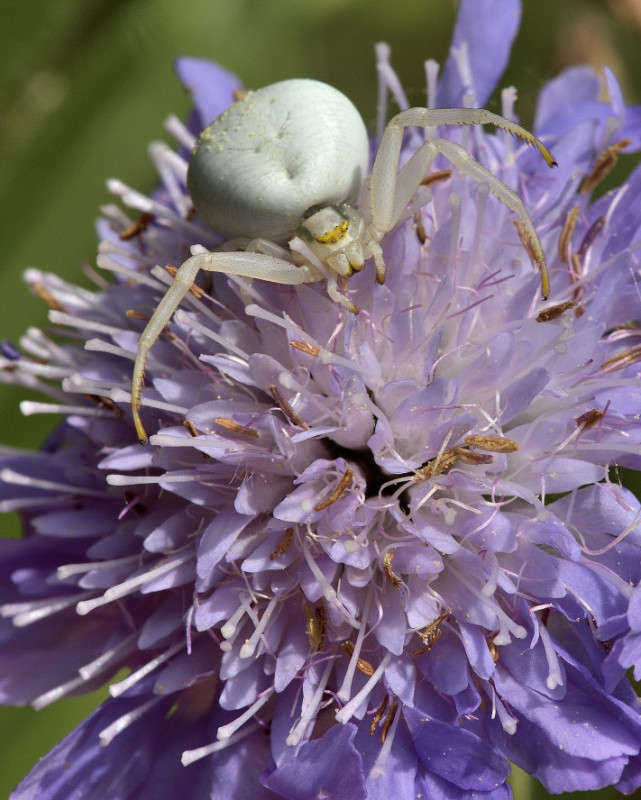 ������ ���������� ����� BoNik  �� PhotoGeek.ru #�����