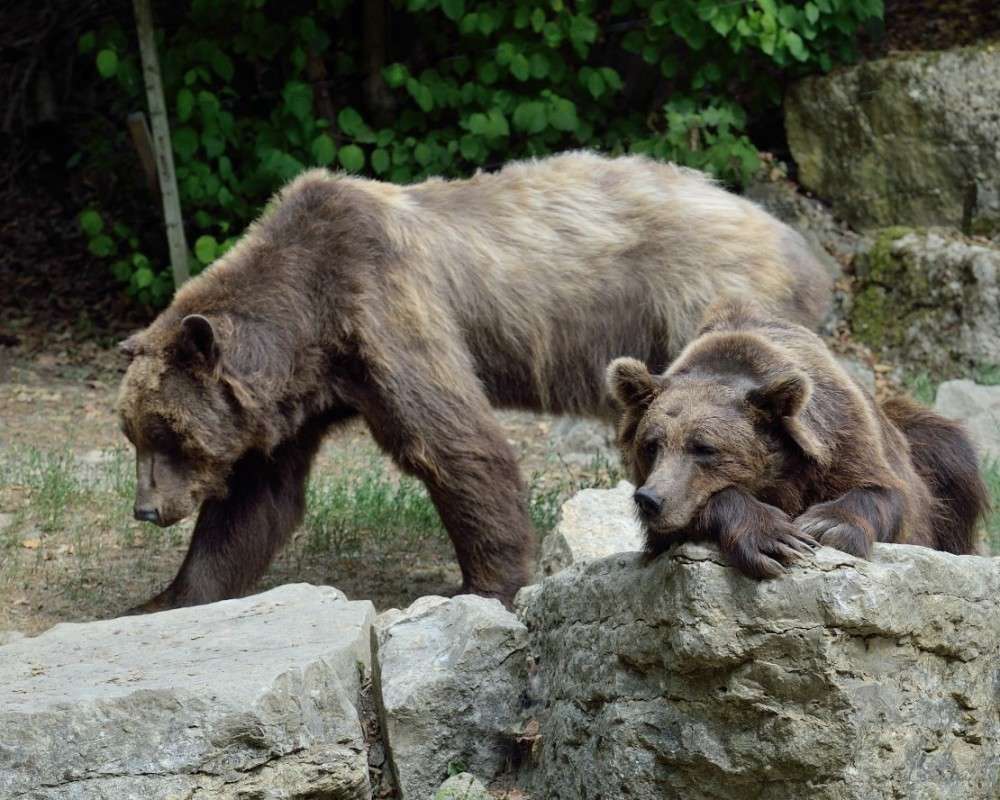 ������ �����, ����� ������! ����� BoNik  �� PhotoGeek.ru #�������� ��� #����� ��� ��� ���������