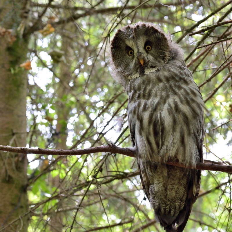 ������������ ������ ����� BoNik  �� PhotoGeek.ru #�������� ��� #����� ��� ��� ���������