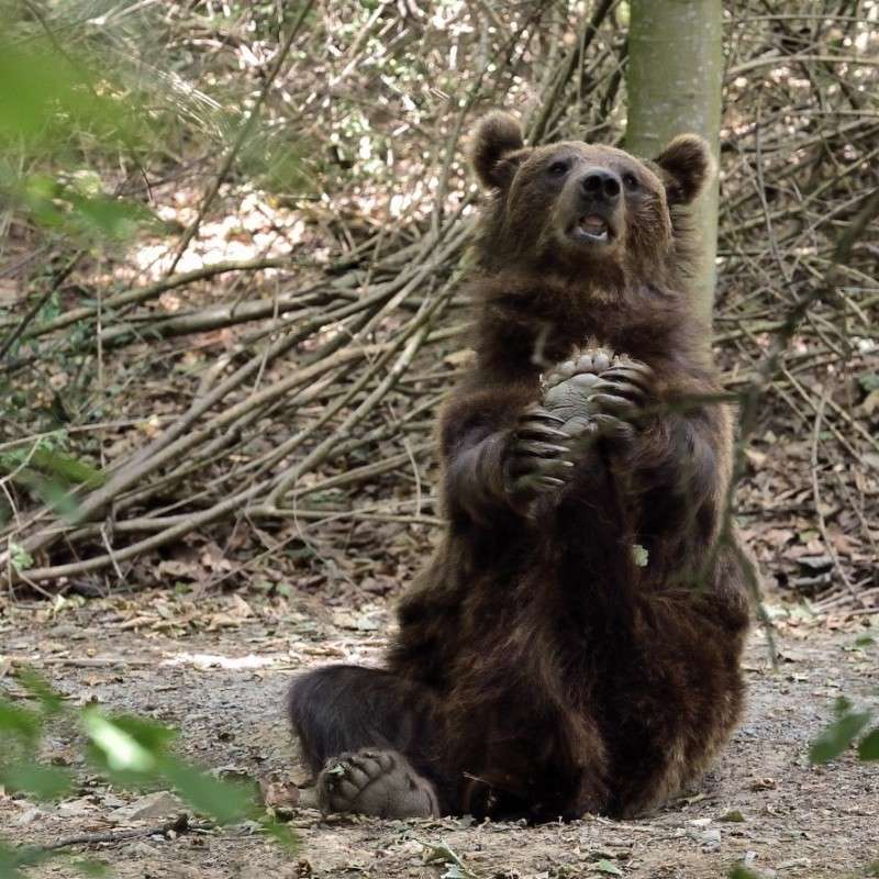 ���� ����� ����� BoNik  �� PhotoGeek.ru #�������� ���