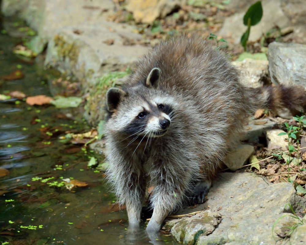 ���� �� ������� ����� BoNik  �� PhotoGeek.ru #�������� ���