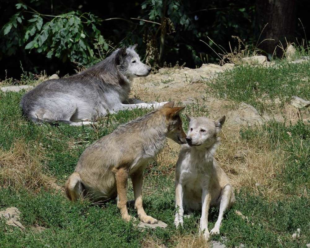 � ��� ������ �����? ����� BoNik  �� PhotoGeek.ru #�������� ���