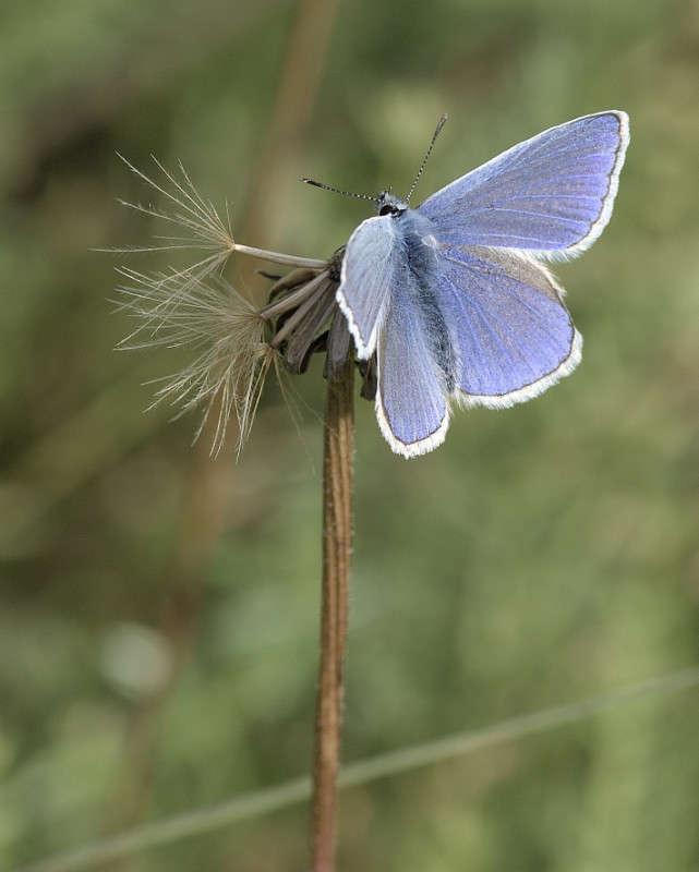 ... ����� BoNik  �� PhotoGeek.ru #�����