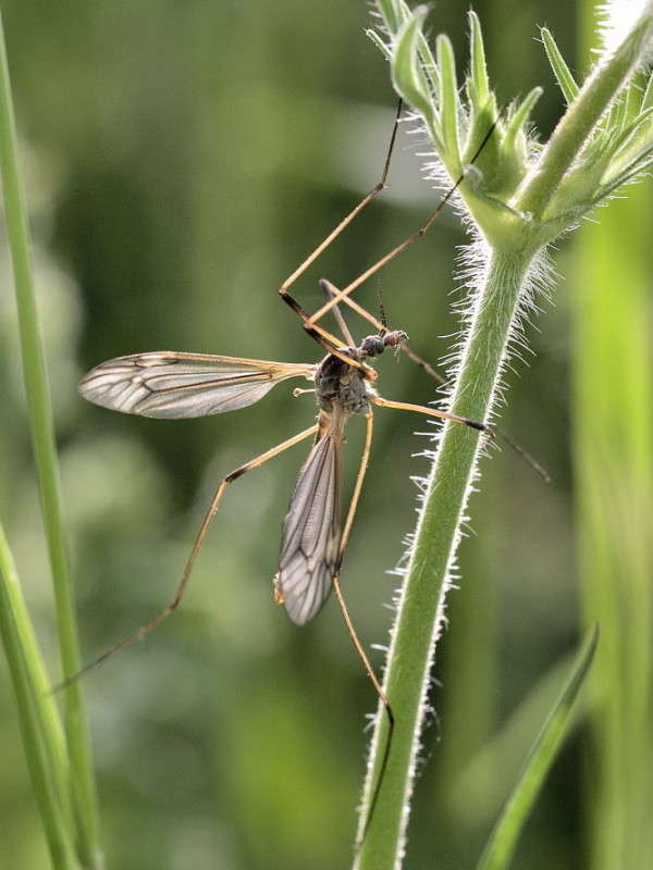 ������� ����� BoNik  �� PhotoGeek.ru #�����