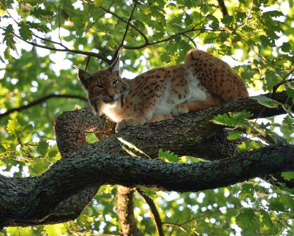 ������� ����� BoNik  �� PhotoGeek.ru #�������� ���