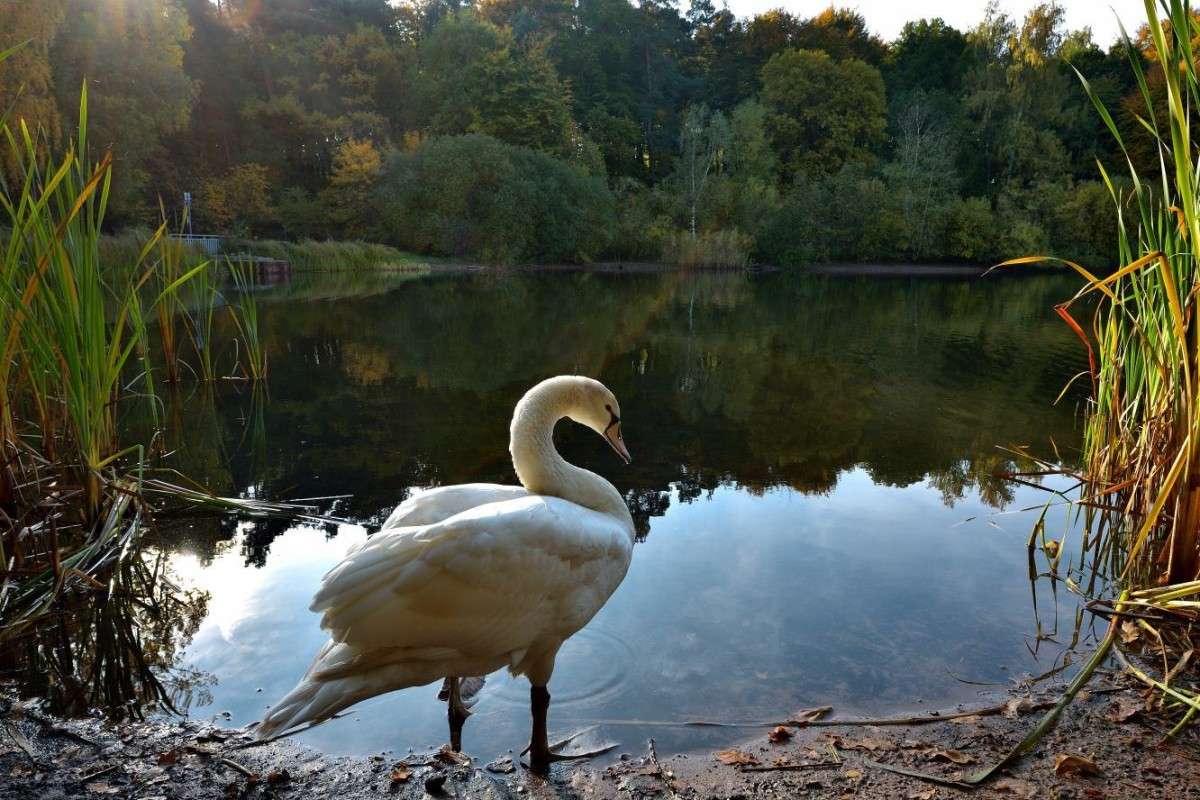 ���� ������� ����� BoNik  �� PhotoGeek.ru #�������� ���