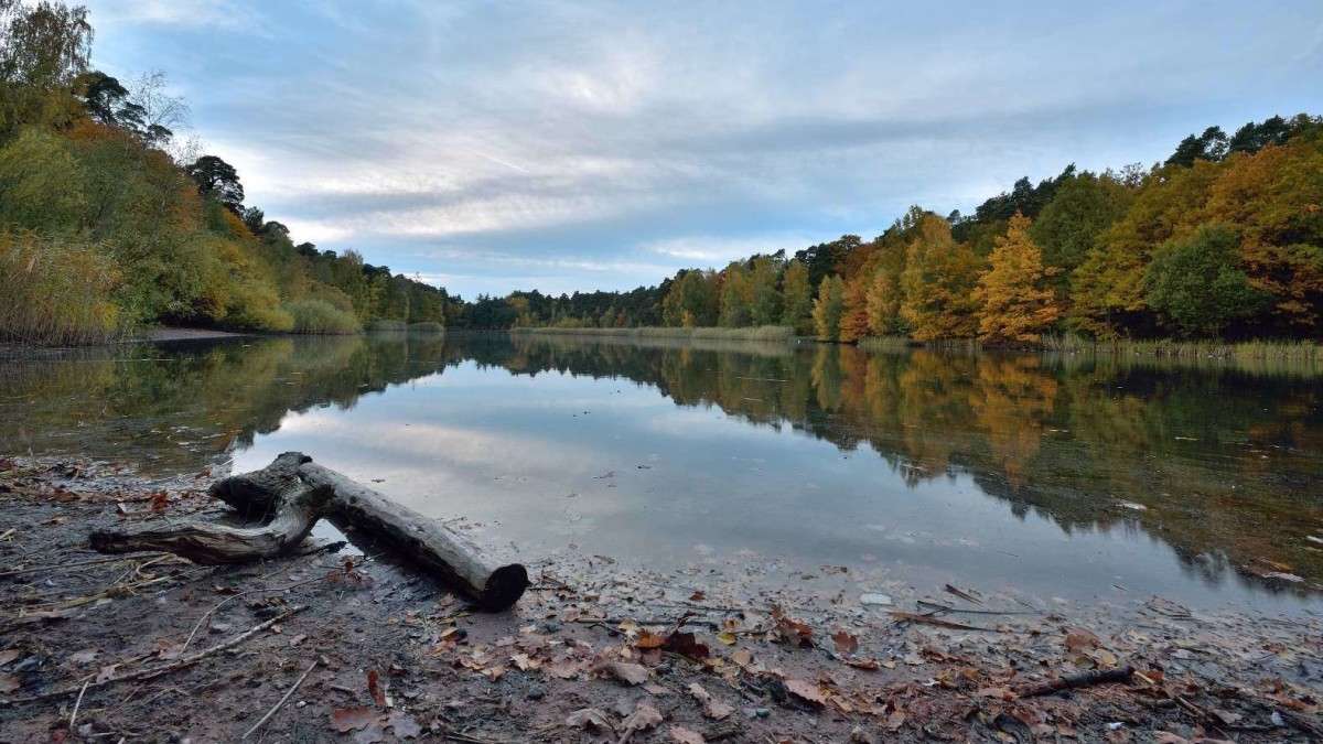 ... ����� BoNik  �� PhotoGeek.ru #������ ��� �������