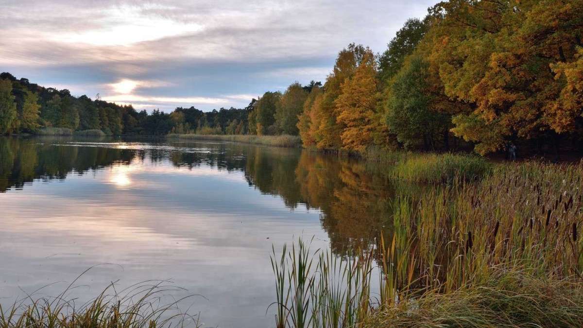 ... ����� BoNik  �� PhotoGeek.ru #������ ��� �������