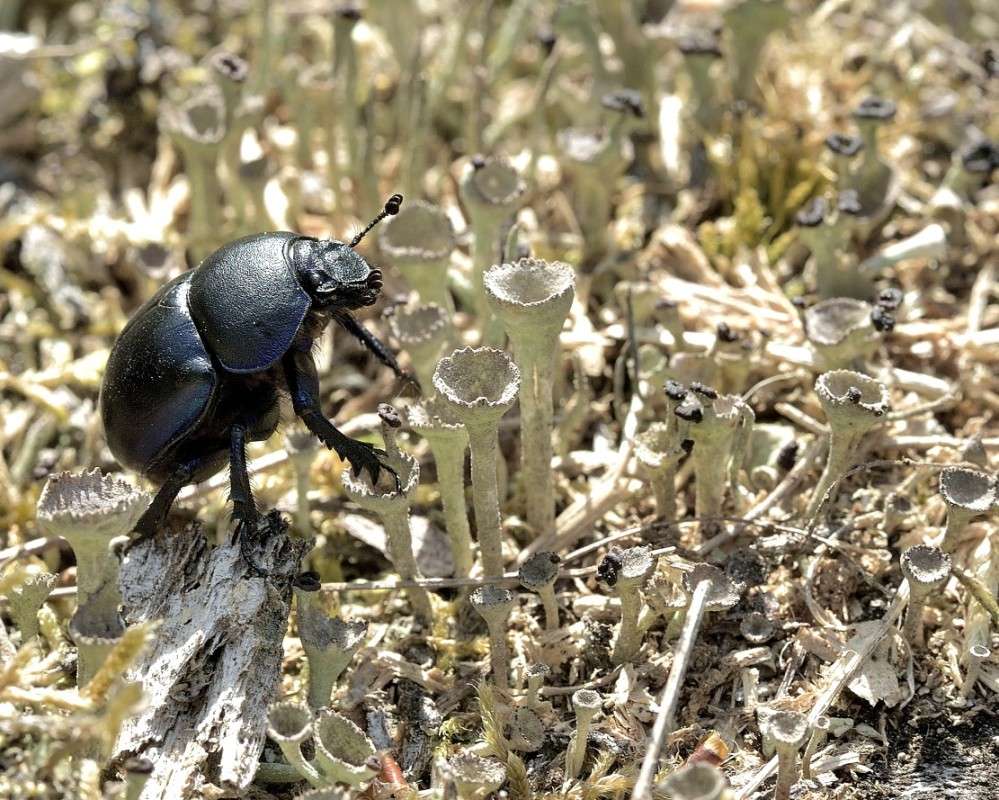 �� �����... ����� BoNik  �� PhotoGeek.ru #����� #���������