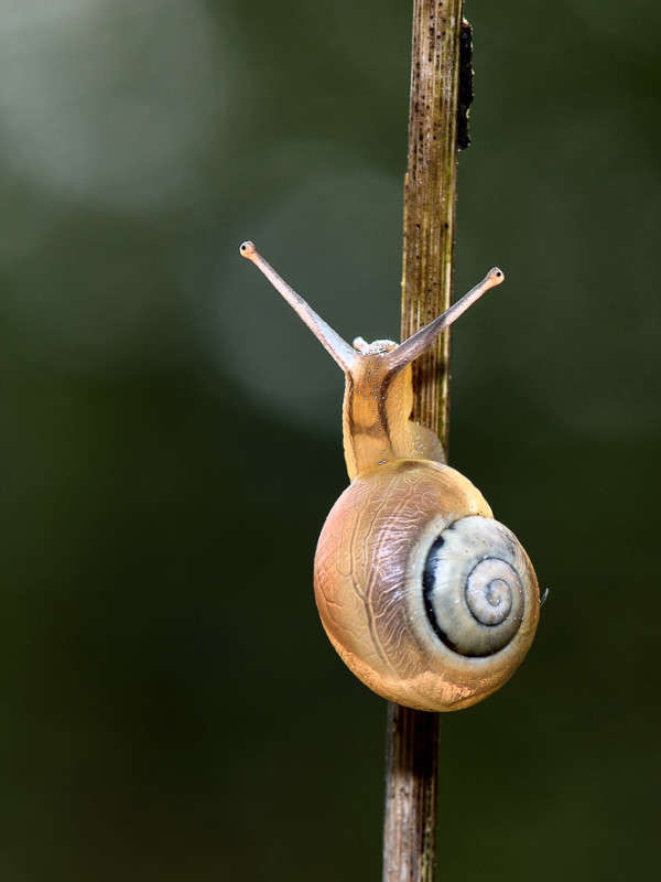 ����� - ��� �� �����... ����� BoNik  �� PhotoGeek.ru #�����