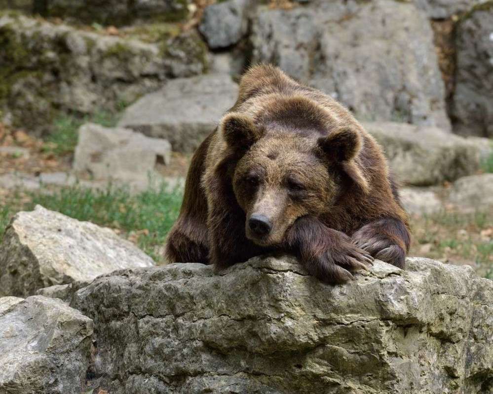 ������ ���... ����� BoNik  �� PhotoGeek.ru #�������� ���