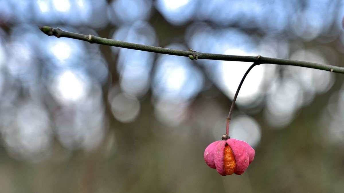 ������� ������ ����������... ����� BoNik  �� PhotoGeek.ru #������ ��� �������