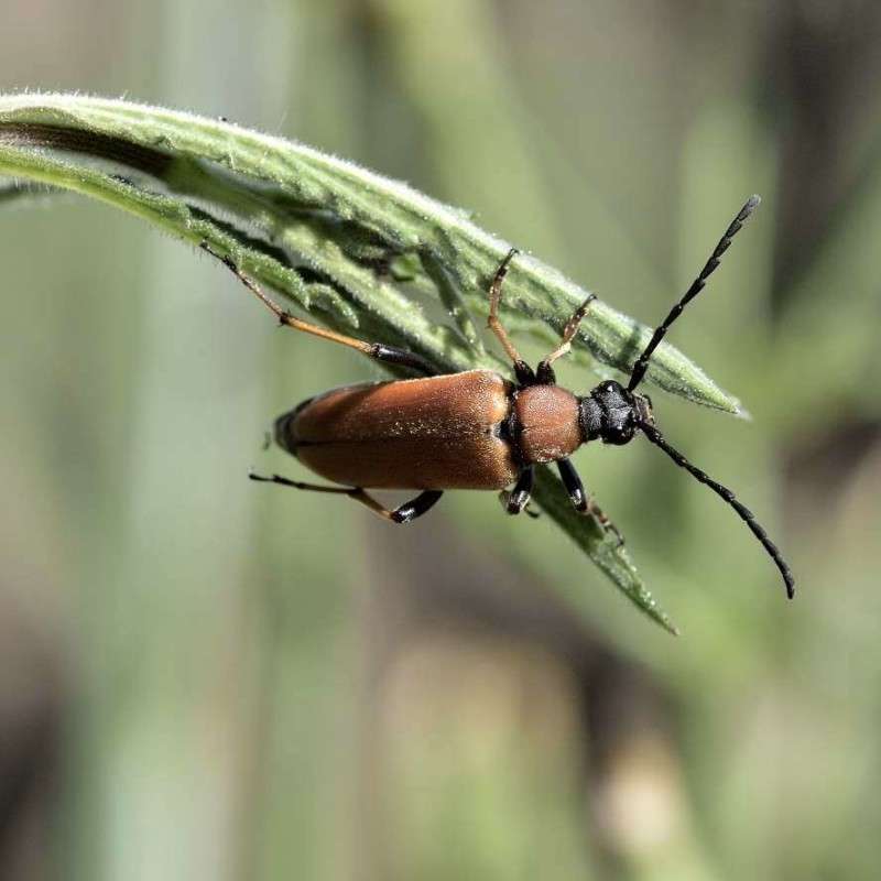 ... ����� BoNik  �� PhotoGeek.ru #�����