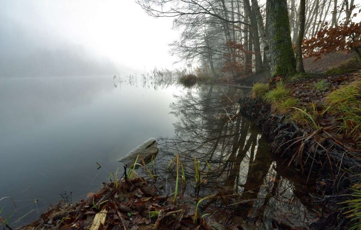 ����������� ����� ����� BoNik  �� PhotoGeek.ru #������ ��� �������