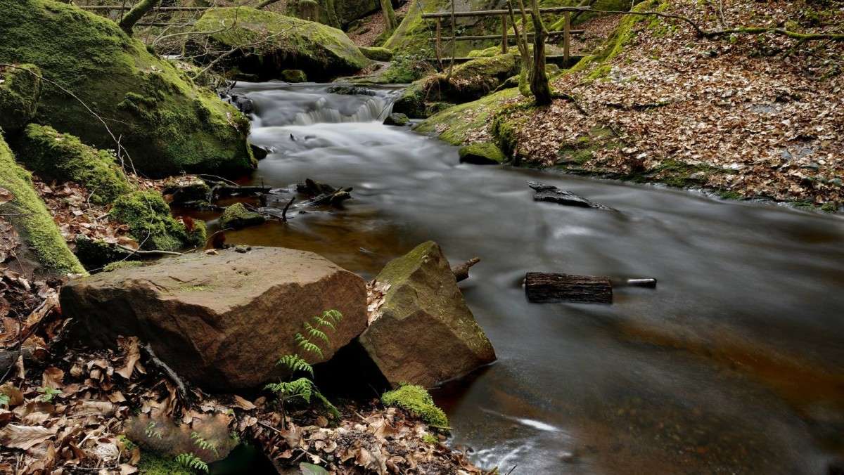 ������� ������ ������� �� �������... ����� BoNik  �� PhotoGeek.ru #������ ��� �������