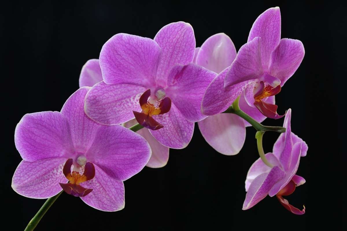 ... ����� BoNik  �� PhotoGeek.ru #�����