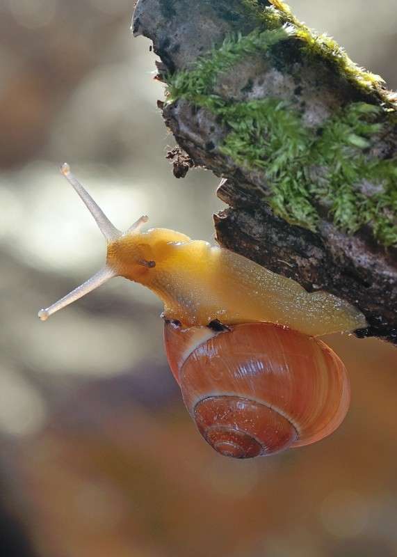 ����� ���������� ����� BoNik  �� PhotoGeek.ru #�����