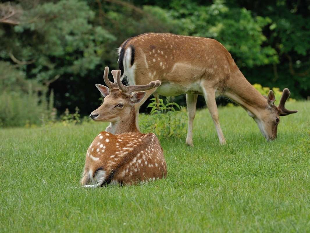 �� � � ��� �� �����... ����� BoNik  �� PhotoGeek.ru #�������� ��� #����� ��� ��� ���������