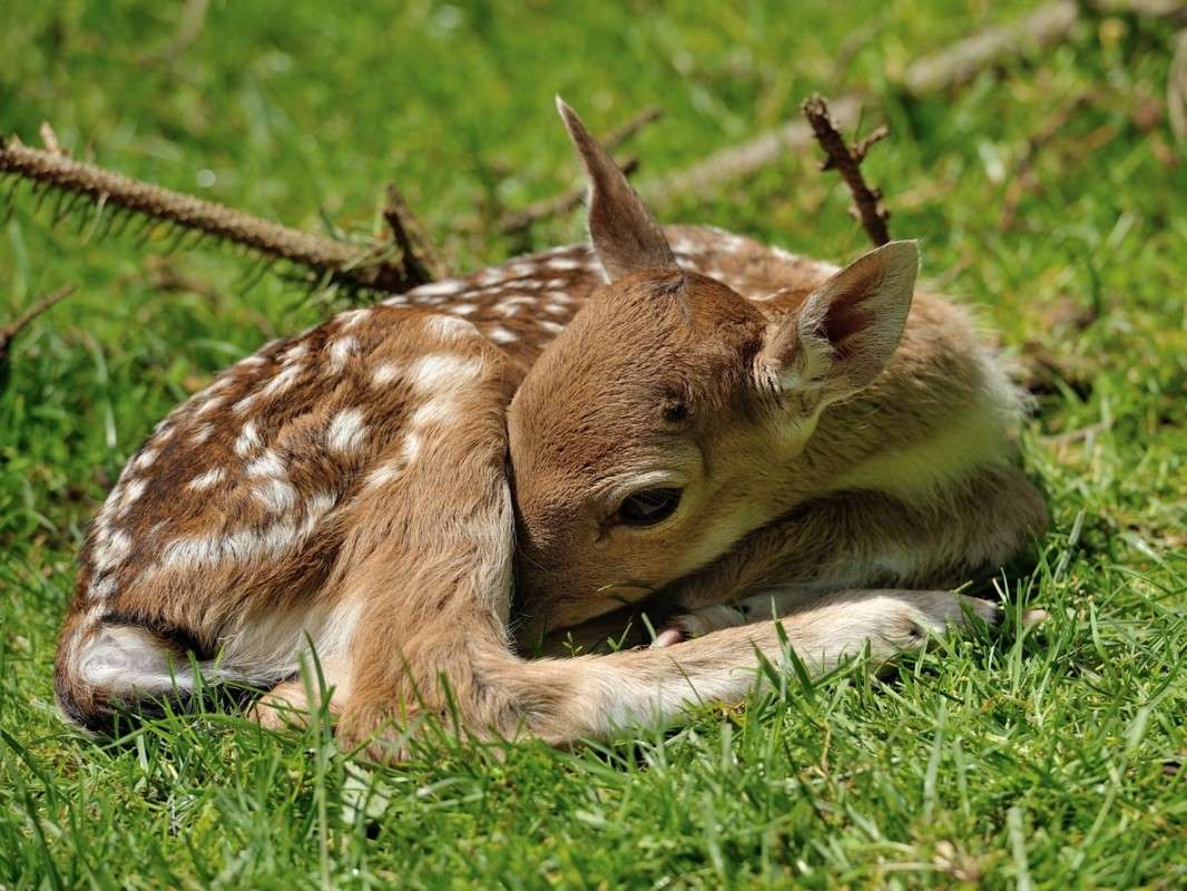 ��������� ��� ����� BoNik  �� PhotoGeek.ru #�������� ��� #����� ��� ��� ���������