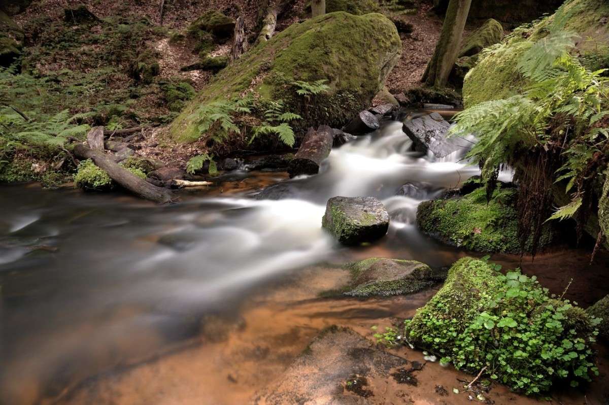 *** ����� BoNik  �� PhotoGeek.ru #������ ��� �������