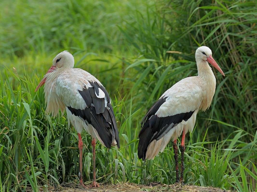 �����������? ����� BoNik  �� PhotoGeek.ru #�������� ��� #����� ��� ��� ���������