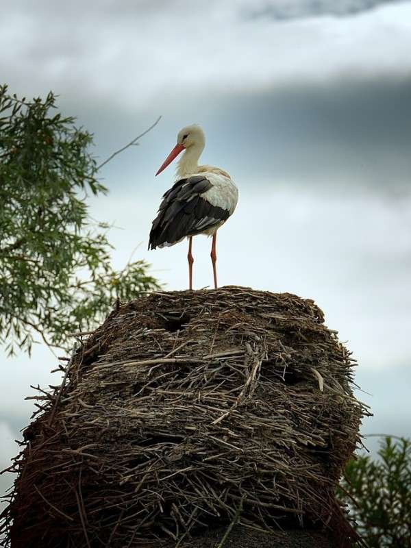 �������� ����� ����� BoNik  �� PhotoGeek.ru #�������� ���