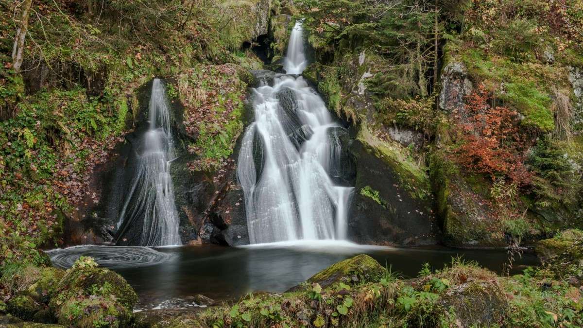   (Triberger Waterfall)  BoNik   PhotoGeek.ru #  