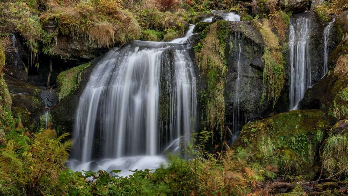   (Triberger Waterfall)-2  BoNik   PhotoGeek.ru #  