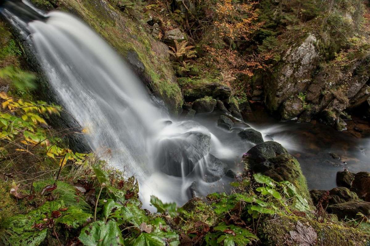   (Triberger Waterfall)-3  BoNik   PhotoGeek.ru #  