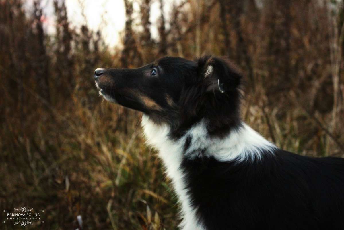 ������� �������� � ����� ����� ������ �������� �� PhotoGeek.ru #�������� ���